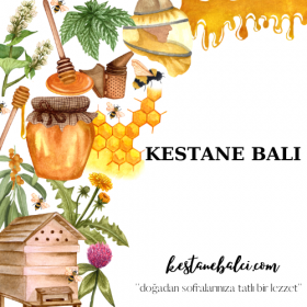 Kestane Balı 500 gr