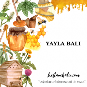 Yayla Balı 500 gr